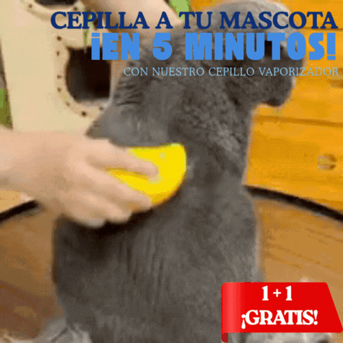1 + 1 GRATIS | Cepillo Vaporizador para Mascotas 3 en 1