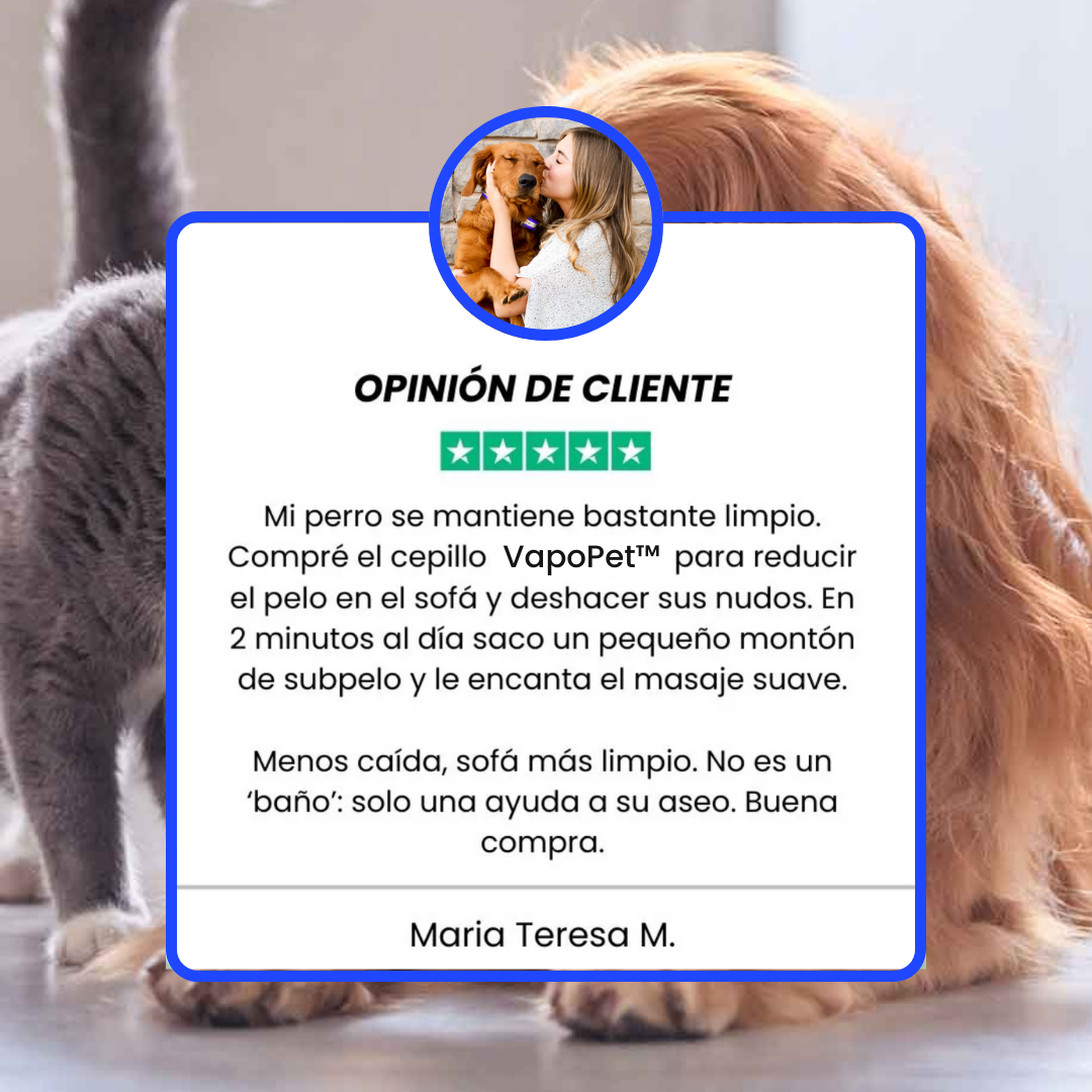 Pack VapoPet™ | Cepillo de Vapor + Kit Quita pelusa ¡La solución instantánea para las pelusas!