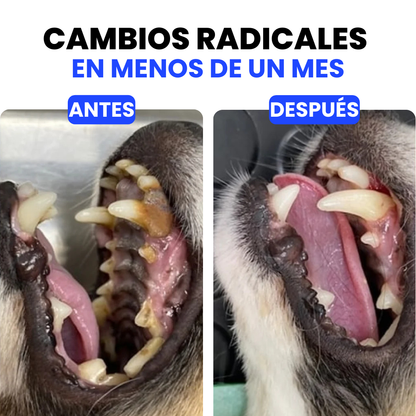 HappyDent™ 360º | Juega, Limpia y Cuida la sonrisa de tu perro