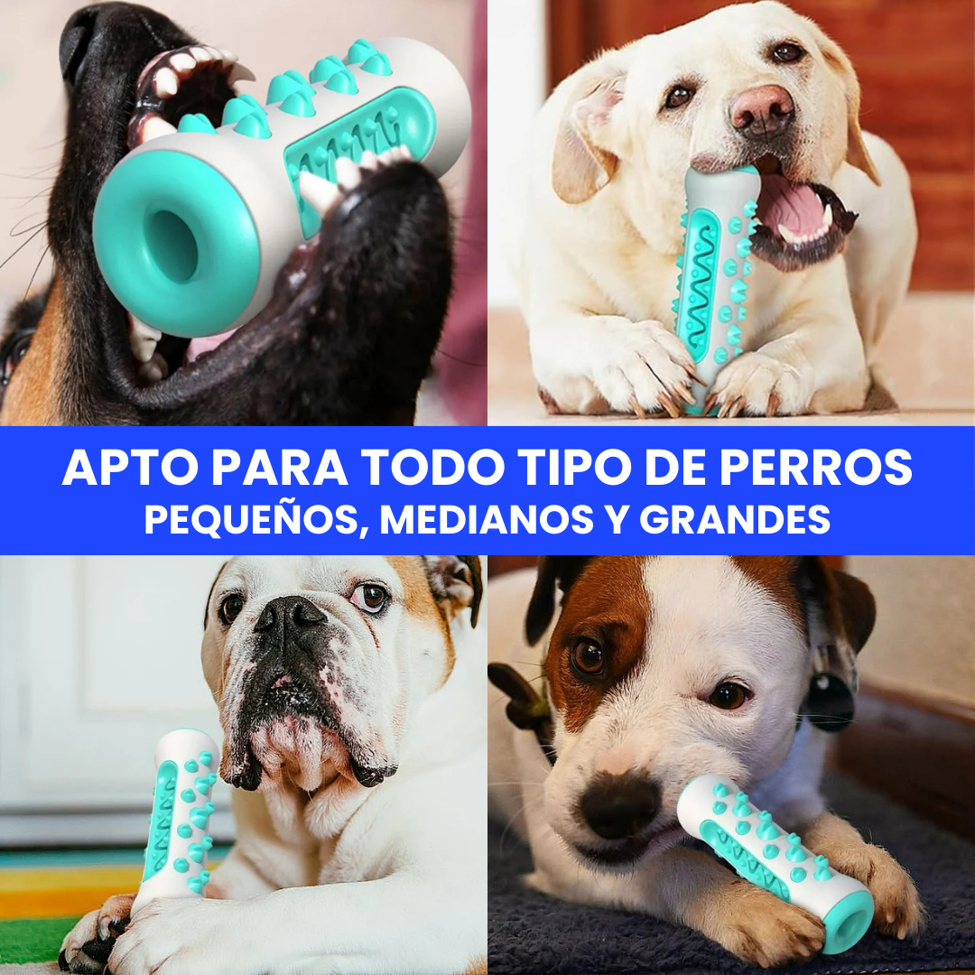 HappyDent™ 360º | Juega, Limpia y Cuida la sonrisa de tu perro